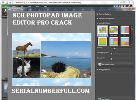 NCH PhotoPad Image Editor 