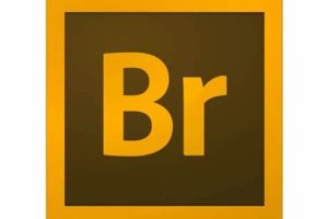 Adobe Bridge 2023