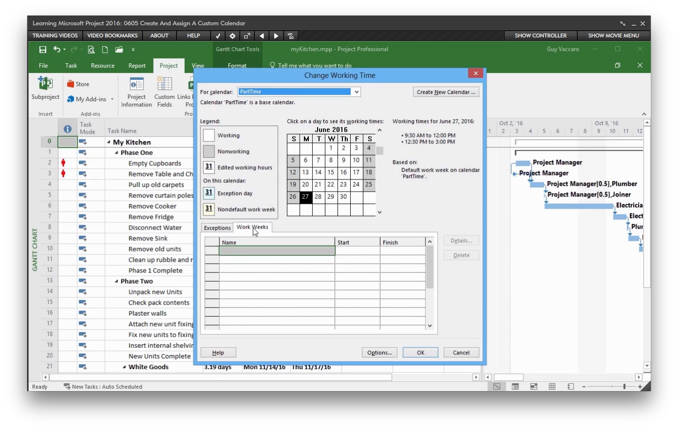 Microsoft Project 2016 Software