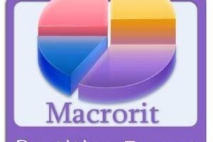Macrorit Partition Expert 7.0.3 + WinPE