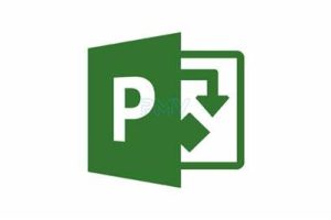 Microsoft Project 2016 Software