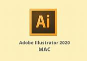Download Adobe Illustrator 2020 + Link Google Drive