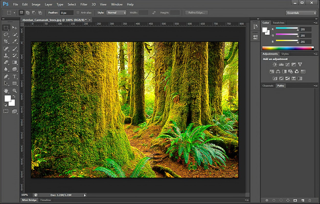 Download latest Photoshop CS6 