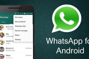Introduction Of Whatsapp